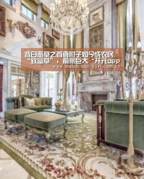 昔日恶草之首香附子如今成农民“致富草”,前景巨大‘开元app官方下载’(图2) 开元app